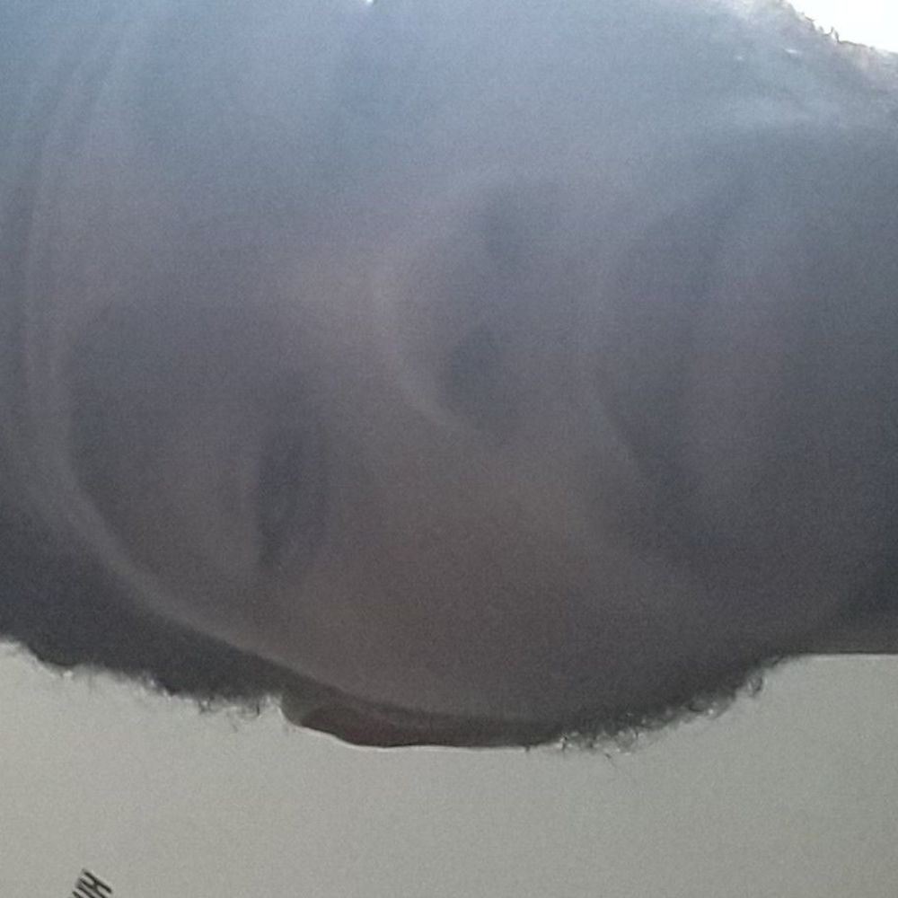 Meet your Posher, Marcus
